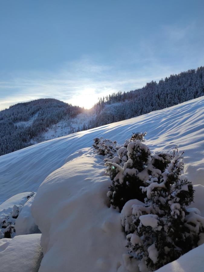 Batacoer - Natures Heartbeat San Vigilio Di Marebbe Zewnętrze zdjęcie